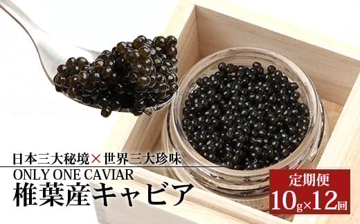定期便 【桐箱入り】【12ヶ月お届け 合計120g(10g×12回)】HEIKE CAVIAR【世界三大珍味×日本三大秘境】［宮崎 椎葉 国産 定期便 チョウザメ キャビア 魚卵 卵 クリーミー お酒 魚介 珍味 加工品 冷凍 高級 贅沢 お取り寄せ お取り寄せグルメ ディナー パーティー おつまみ グルメ お祝い ギフト 記念日 誕生日 プレゼント 贈り物 贈答 桐箱 希少］【SZ-111】