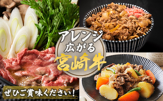 ãå®æäŸ¿ 6åãåè³æŽå€æ°!! âªå®®åŽçâ«æã«äžåºŠã®ã楜ãã¿å®æäŸ¿ãç·éé4.75Kgããã¹ããŒãã»çŒèã»ããçŒãã»ããã¶ããã¶ãéæç¡æ å®®åŽç æ€èæ ç§å¢ åœç£ å®®åŽçç£ ãã©ã³ãç çè ç åç è è©ããŒã¹ ã㬠ãã ããŒã¹ ãã§ ã°ã ç䞌 ããŸã çŸå³ãã ãããã ããã å€çšé ã®ãã èŽãç© ãã¬ãŒã³ã ããŒãã£ãŒ èªçæ¥ èšå¿µæ¥ ãåç£ æ¬è ãäžå
ãæ³æ®ãMT-51ã