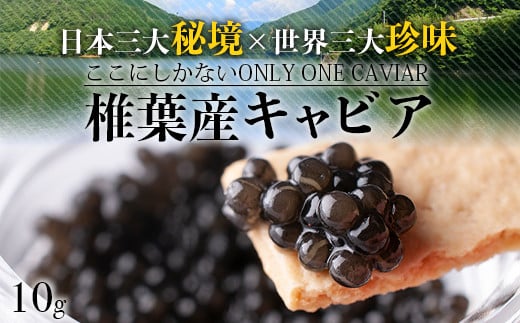 【訳あり】HEIKE CAVIAR  10ｇ 【世界三大珍味×日本三大秘境】［宮崎 椎葉 国産 ちょうざめ チョウザメ きゃびあ キャビア 10g 魚卵 卵 クリーミー お酒 魚介 珍味 加工品 冷凍 高級 贅沢 グルメ ディナー パーティー おつまみ ギフト 記念日 誕生日 プレゼント お祝い 贈り物 贈答 贈答品 桐箱 希少］【SZ-116】