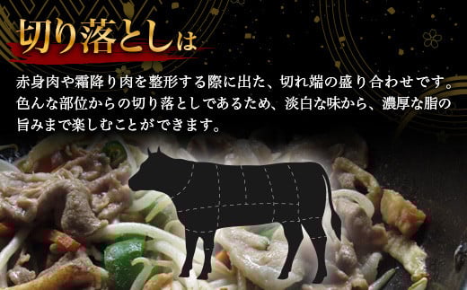 宮崎牛 切り落とし 1kg TK-93 [宮崎県 椎葉村 宮崎牛 和牛 黒毛和牛 牛肉 ぎゅうにく 牛 うし ぎゅう 肉 お肉 にく おにく スライス肉 精肉 切り落とし肉 切り落とし 赤身肉 霜降り肉 1kg 人気 おすすめ 送料無料]