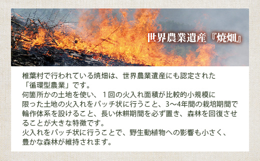 椎葉村の焼畑農家がつくった よもぎクッキー【手づくりの焼菓子】［送料無料 宮崎県 椎葉村 椎葉 日本三大秘境 秘境 焼畑 やきはた くっきー クッキー よもぎ 蓬 よもぎクッキー おやつ おかし 菓子 お菓子 焼き菓子 無添加 手作り 自然 ギフト お土産］【YS-33】