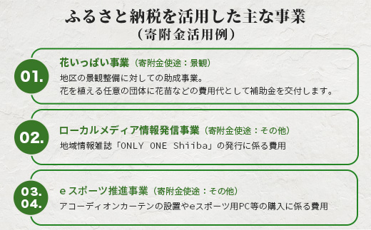 【返礼品なしの寄附】宮崎県椎葉村（1口：10,000円）
