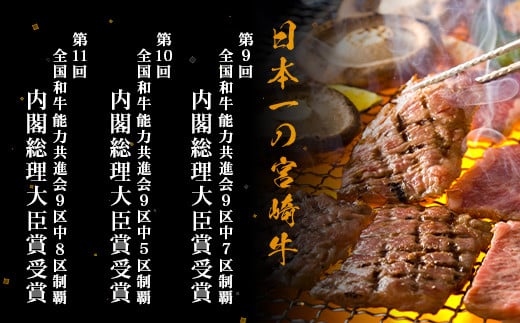 【定期便 6回】受賞歴多数!! 宮崎牛を6ヶ月で合計3.25キロ 宮崎牛づくし【送料無料 宮崎県 椎葉村 秘境 国産 宮崎県産 ブランド牛 牛肉 牛 和牛 肉 肩ロース ばら うで もも すき焼き 焼肉 焼き肉 BBQ アウトドア キャンプ 牛丼 うまい 美味しい おすすめ おかず 多用途 ギフト 贈り物 プレゼント 祝い パーティー 誕生日 記念日 お土産 敬老 お中元 お歳暮】【MT-38】