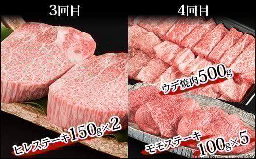 【定期便 6回】受賞歴多数!! 宮崎牛を6ヶ月で合計4.9キロ 宮崎牛づくし【送料無料 宮崎県 椎葉村 秘境 国産 宮崎県産 ブランド牛 牛肉 牛 和牛 肉 肩ロース うで ヒレ もも ばら ステーキ すき焼き しゃぶしゃぶ 焼肉 BBQ 牛丼 うまい 美味しい おすすめ おかず 多用途 ギフト 贈り物 プレゼント 祝い パーティー 誕生日 記念日 お土産 敬老 お中元 お歳暮】【MT-39】