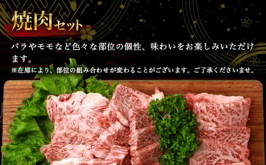 宮崎牛 焼肉セット 600g TK-97 [宮崎県 椎葉村 宮崎牛 和牛 黒毛和牛 牛肉 ぎゅうにく 牛 うし ぎゅう 肉 お肉 にく おにく 焼き肉 焼肉 やきにく 精肉 もも モモ肉 バラ バラ肉 600g 人気 おすすめ 送料無料]