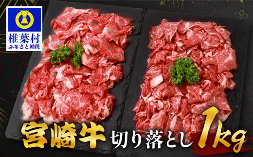 宮崎牛 切り落とし 1kg TK-93 [宮崎県 椎葉村 宮崎牛 和牛 黒毛和牛 牛肉 ぎゅうにく 牛 うし ぎゅう 肉 お肉 にく おにく スライス肉 精肉 切り落とし肉 切り落とし 赤身肉 霜降り肉 1kg 人気 おすすめ 送料無料]