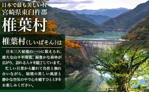 椎葉村共通宿泊割引券　3,000円分