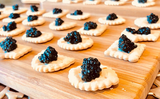 【桐箱入り】HEIKE CAVIAR 10ｇ フレッシュキャビア【世界三大珍味×日本三大秘境】［宮崎 椎葉 国産 ちょうざめ チョウザメ きゃびあ キャビア 10g 魚卵 卵 お酒 魚介 珍味 加工品 冷凍 高級 贅沢 グルメ ディナー パーティー おつまみ ギフト 記念日 誕生日 プレゼント お祝い 贈り物 贈答 贈答品 桐箱 希少］【SZ-102】