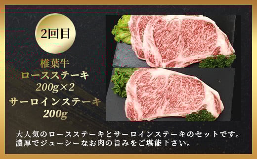 【定期便2回】総重量1kg 椎葉牛 ローストビーフとステーキの定期便 A5等級指定 ［宮崎県 椎葉村 国産 国産牛 黒毛和牛 和牛 牛 牛肉 赤身 にく おにく 肉 お肉 a5 A5 ステーキ サーロイン ローストビーフ ブロック肉 やきにく 焼肉 冷凍 ごちそう 贈物 日本三大秘境］【TK-64】