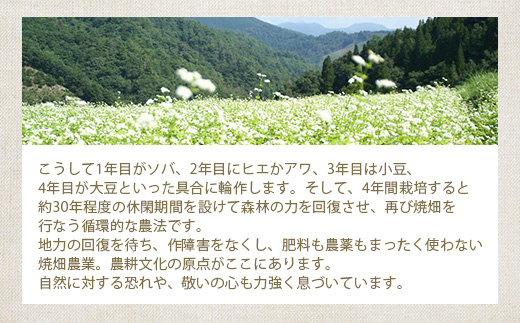 æ€èæã®çŒç蟲家ãã€ãã£ã ã²ãã¯ã©ãã«ãŒãæã¥ããã®çŒèåãéæç¡æ å®®åŽç æ€èæ æ€è æ¥æ¬äžå€§ç§å¢ ç§å¢ çŒç ããã¯ã ããã£ã㌠ã¯ã©ãã«ãŒ ã²ã ã²ãã¯ã©ãã«ãŒ ãã〠ããã èå ãèå çŒãèå ç¡æ·»å æäœã èªç¶ ã®ãã ãåç£ïŒœãYS-32ã