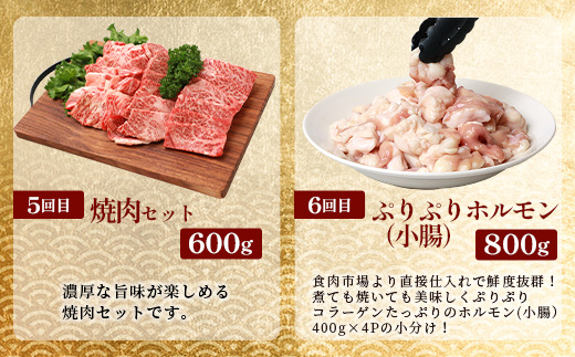 【 定期便 全10回 】 10ヶ月連続でお届け！ 牛肉 オール椎葉牛大満足セット 総重量 5,180g 【 日本三大秘境 椎葉村 育ちの黒毛和牛 】[ 牛肉 ステーキ 精肉 ホルモン モモ肉 ヒレ肉 定期便 定期配送 肉 スライス肉 サーロイン A5等級指定 黒毛和牛 ブランド牛 A5ランク おすすめ 送料無料 ] TK-105