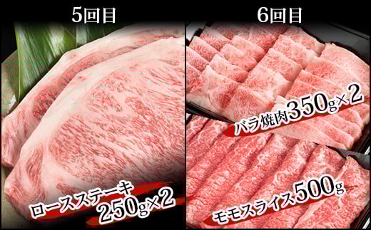 【定期便 6回】受賞歴多数!! 宮崎牛を6ヶ月で合計4.9キロ 宮崎牛づくし【送料無料 宮崎県 椎葉村 秘境 国産 宮崎県産 ブランド牛 牛肉 牛 和牛 肉 肩ロース うで ヒレ もも ばら ステーキ すき焼き しゃぶしゃぶ 焼肉 BBQ 牛丼 うまい 美味しい おすすめ おかず 多用途 ギフト 贈り物 プレゼント 祝い パーティー 誕生日 記念日 お土産 敬老 お中元 お歳暮】【MT-39】