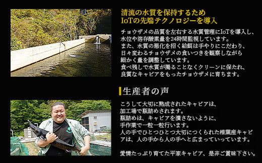 【世界三大珍味×日本三大秘境】HEIKE CAVIAR  ワインキャビア 20g【産地直送】【簡易包装】［宮崎 椎葉 国産 ちょうざめ チョウザメ きゃびあ キャビア 5g 魚卵 卵 魚介 珍味 加工品 冷凍 高級 贅沢品 ディナー パーティー おつまみ グルメ ギフト 記念日 誕生日 プレゼント お祝い 贈り物 贈答品 桐箱 希少］【SZ-128】