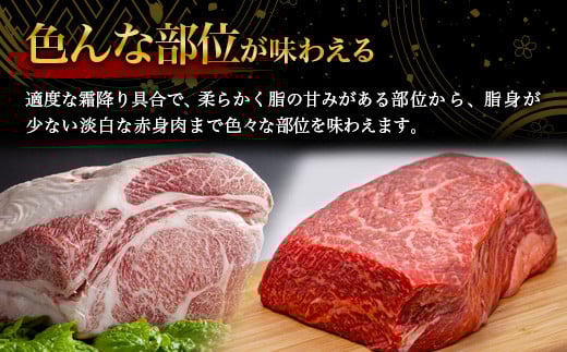 宮崎牛 焼肉セット 600g TK-97 [宮崎県 椎葉村 宮崎牛 和牛 黒毛和牛 牛肉 ぎゅうにく 牛 うし ぎゅう 肉 お肉 にく おにく 焼き肉 焼肉 やきにく 精肉 もも モモ肉 バラ バラ肉 600g 人気 おすすめ 送料無料]