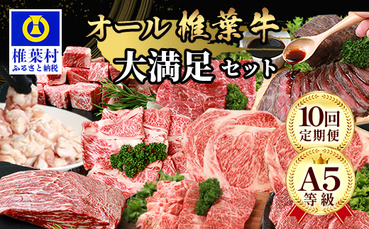 【 定期便 全10回 】 10ヶ月連続でお届け！ 牛肉 オール椎葉牛大満足セット 総重量 5,180g 【 日本三大秘境 椎葉村 育ちの黒毛和牛 】[ 牛肉 ステーキ 精肉 ホルモン モモ肉 ヒレ肉 定期便 定期配送 肉 スライス肉 サーロイン A5等級指定 黒毛和牛 ブランド牛 A5ランク おすすめ 送料無料 ] TK-105