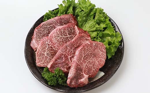 宮崎県産 椎葉プレミアム牛 ヒレ 480g お試しステーキソース付き［宮崎県 椎葉村 国産 国産牛 黒毛和牛 和牛 牛 牛肉 赤身 にく おにく 肉 お肉 ヒレ ステーキ やきにく 焼肉 バーベキュー 冷凍 ごちそう 贈物 日本三大秘境］【TK-44】