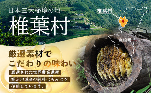 【1月より順次発送】【椎葉村産のはちみつ】を使用したハニーマスタード！ゴッドマイト 90g × 3個 計 270g | ハニーマスタード マスタード 90g 270g 3個 はちみつ 蜂蜜 粒マスタード 万能ソース 宮崎県 椎葉村 おすすめ 純粋はちみつ | TT-20