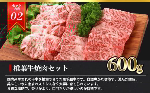 総重量2.1kg 【3種の牛肉】焼肉食べ比べセット ≪椎葉牛・椎葉プレミアム牛・宮崎県産和牛≫［宮崎県 椎葉村 国産 国産牛 黒毛和牛 和牛 牛 牛肉 赤身 にく おにく 肉 お肉 やきにく 焼肉 バーベキュー セット 冷凍 ごちそう 贈物 日本三大秘境］【TK-52】