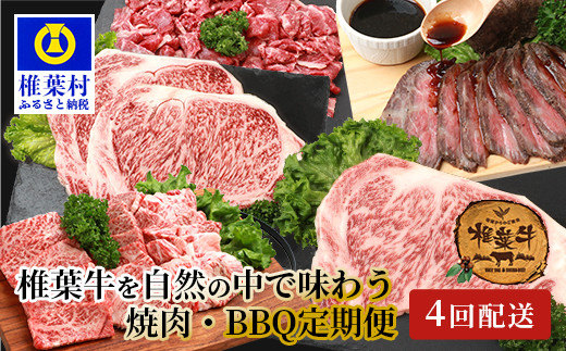 【定期便4回】総重量2.4kg！椎葉牛 大自然の中で味わう焼肉・BBQ定期便≪焼き肉・ステーキ・切り落とし・ローストビーフ≫【A5等級指定 黒毛和牛】A5ランク a5 A5【日本三大秘境 椎葉村 育ちの黒毛和牛】TK-63