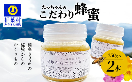 【無添加 非加熱】標高800m たっちゃんのこだわり蜂蜜【250g×2本】送料無料 宮崎県 椎葉村 秘境 蜂蜜 はちみつ ハチミツ みつばち ミツバチ 伝統的 養蜂 国産 天然 百花蜜 巣箱 数量限定 季節 希少 250g 500g 防災 備蓄【TN-02】