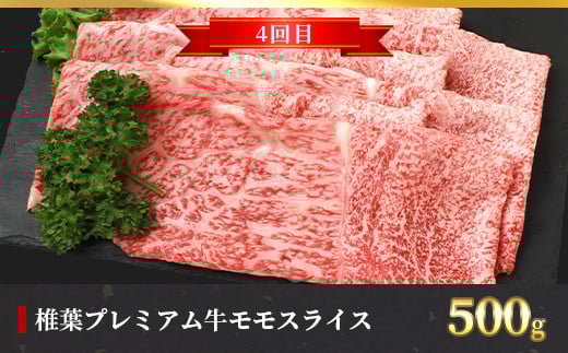 ãå®æäŸ¿6åãç·éé3.1kg æ€èãã¬ãã¢ã çæºå«å®æäŸ¿âªã¹ããŒãã»ããçŒãã»ããã¶ããã¶ã»çŒãèâ«ïŒ»å®®åŽç æ€èæ åœç£ åœç£ç 黿¯åç åç ç çè 赀身 ã«ã ãã«ã è ãè ã¹ããŒã ãããã ããçŒã ããã¶ããã¶ ããã«ã çŒè ããŒããã¥ãŒ å·å ãã¡ãã èŽç© æ¥æ¬äžå€§ç§å¢ïŒœãTK-56ã