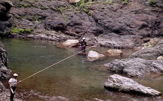 【先行受付：令和8年版】【椎葉での渓流釣りを楽しむ】遊漁許可証(年券) 耳川水系【釣り好き必見】【GK-1】[送料無料 宮崎県 宮崎 椎葉村 椎葉 遊漁券 遊漁許可証 許可証 釣り 釣 河 川 遊漁 券 年券 耳川水系 川魚 ヤマメ ヤマメ釣り 耳川水 体験]