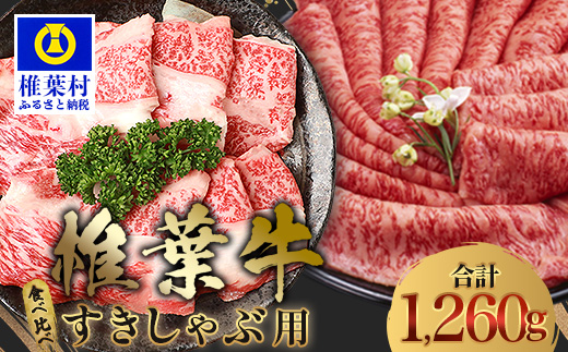 【A5ランク】 椎葉牛 すき焼き 2種 食べ比べ 肩ロース630g・牛もも630g 計1260g すき焼き しゃぶしゃぶ | ふるさと納税 すき焼き しゃぶしゃぶ 肉 牛肉 高級肉 黒毛和牛 国産 モモ 肩ロース 宮崎県 椎葉村 人気 送料無料 | TK-112