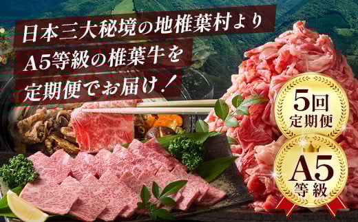 ãå®æäŸ¿5åãç·éé3.5kgïŒæ€èçãªãŒã«ã¹ã¿ãŒå®æäŸ¿âªããŒã¹ãããŒãã»åãèœãšãã»çŒãèã»ã¹ã©ã€ã¹ã»ã¹ããŒãâ«ãA5ççŽæå® é»æ¯åçãA5ã©ã³ã¯ a5 A5ãæ¥æ¬äžå€§ç§å¢ æ€èæ è²ã¡ã®é»æ¯åçã