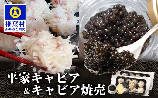 【日本三大秘境×世界三大珍味】キャビア焼売 8個入り×2パック＆平家キャビア 5gセット［宮崎 椎葉 国産 ちょうざめ チョウザメ きゃびあ キャビア しゅうまい シュウマイ 焼売 魚卵 卵 お酒 魚介 珍味 加工品 冷凍 高級 贅沢 おつまみ グルメ ギフト 記念日 誕生日 プレゼント お祝い 贈り物 贈答 セット 桐箱 希少］【SZ-136】