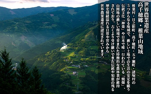 ãéç©ç±³ãã7å¶æ¥æ¥ä»¥å
çºéãè€ã®è±è²ã«æãŸãçŸããå
ç©ç±³ãè€å
ç©ã300gÃ6è¢ãäžç蟲æ¥éºç£ é«åç©é·ã»æ€èå±±å°åãéæç¡æ ä¿åé£ éåžžé£ ç±³ ãç±³ ã飯 ãåœå° èŽãç© æåç£ ãåç£ æšæ¶ ç¥ã ã®ãã ç¶ æ¯ æ é€ å¥åº· ããã¡ç±³ ãããã³ æœå²ãšããããã ãã¡ãã ãã¡éºŠ é»ç±³ãTT-10ã