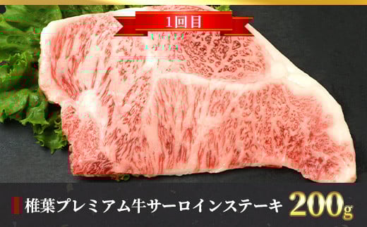 ãå®æäŸ¿6åãç·éé3.1kg æ€èãã¬ãã¢ã çæºå«å®æäŸ¿âªã¹ããŒãã»ããçŒãã»ããã¶ããã¶ã»çŒãèâ«ïŒ»å®®åŽç æ€èæ åœç£ åœç£ç 黿¯åç åç ç çè 赀身 ã«ã ãã«ã è ãè ã¹ããŒã ãããã ããçŒã ããã¶ããã¶ ããã«ã çŒè ããŒããã¥ãŒ å·å ãã¡ãã èŽç© æ¥æ¬äžå€§ç§å¢ïŒœãTK-56ã