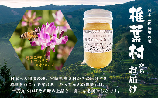 【無添加 非加熱】標高800m たっちゃんのこだわり蜂蜜【170g×1本】(送料無料 宮崎県 椎葉村 秘境 蜂蜜 はちみつ ハチミツ みつばち ミツバチ 伝統的 養蜂 国産 天然 百花蜜 巣箱 数量限定 季節 希少 170g 防災 備蓄) TN-04