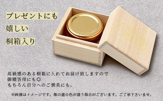 【世界三大珍味×日本三大秘境】HEIKE CAVIAR  ワインキャビア 20g【産地直送】【桐箱入り】［宮崎 椎葉 国産 チョウザメ キャビア 20g 魚卵 卵 魚介 珍味 加工品 冷凍 高級 高級木材 贅沢 世界三大珍味 ディナー パーティー おつまみ グルメ ギフト 記念日 誕生日 プレゼント お祝い 贈り物 贈答 桐箱 希少］【SZ-129】