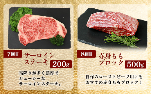 【 定期便 全10回 】 10ヶ月連続でお届け！ 牛肉 オール椎葉牛大満足セット 総重量 5,180g 【 日本三大秘境 椎葉村 育ちの黒毛和牛 】[ 牛肉 ステーキ 精肉 ホルモン モモ肉 ヒレ肉 定期便 定期配送 肉 スライス肉 サーロイン A5等級指定 黒毛和牛 ブランド牛 A5ランク おすすめ 送料無料 ] TK-105