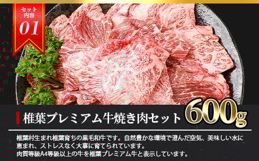 総重量2.1kg 【3種の牛肉】焼肉食べ比べセット ≪椎葉牛・椎葉プレミアム牛・宮崎県産和牛≫［宮崎県 椎葉村 国産 国産牛 黒毛和牛 和牛 牛 牛肉 赤身 にく おにく 肉 お肉 やきにく 焼肉 バーベキュー セット 冷凍 ごちそう 贈物 日本三大秘境］【TK-52】