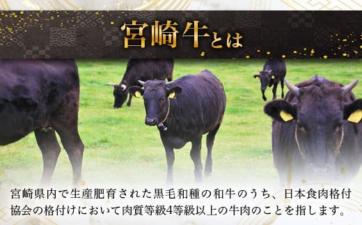 宮崎牛 ローストビーフブロック 400g（100g×4P） お試しソース付き TK-95 [宮崎県 椎葉村 宮崎牛 和牛 黒毛和牛 牛肉 ぎゅうにく 牛 うし ぎゅう 肉 お肉 にく おにく ローストビーフ ビーフ ロースト ローストビーフブロック肉 ブロック肉 もも肉 牛もも肉 400g 人気 おすすめ 送料無料]