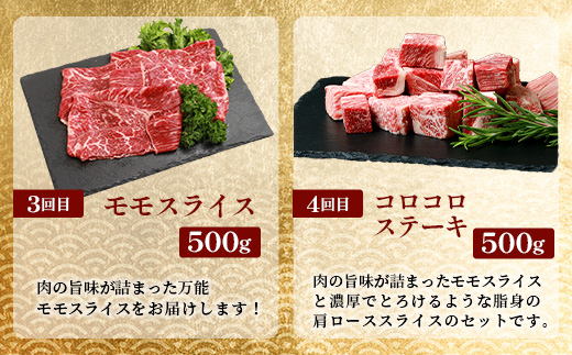 【 定期便 全10回 】 10ヶ月連続でお届け！ 牛肉 オール椎葉牛大満足セット 総重量 5,180g 【 日本三大秘境 椎葉村 育ちの黒毛和牛 】[ 牛肉 ステーキ 精肉 ホルモン モモ肉 ヒレ肉 定期便 定期配送 肉 スライス肉 サーロイン A5等級指定 黒毛和牛 ブランド牛 A5ランク おすすめ 送料無料 ] TK-105
