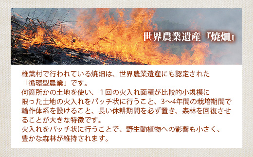 æ€èæã®çŒç蟲家ãã€ãã£ã è麊ç²ã¯ã©ãã«ãŒãæã¥ããã®çŒèåãéæç¡æ å®®åŽç æ€èæ æ€è æ¥æ¬äžå€§ç§å¢ ç§å¢ çŒç ããã¯ã ããã£ã㌠ã¯ã©ãã«ãŒ è麊 èéºŠç² ãã° ãã°ã è麊ç²ã¯ã©ãã«ãŒ ãã〠ããã èå ãèå çŒãèå ç¡æ·»å æäœã èªç¶ ã®ãã ãåç£ïŒœãYS-34ã