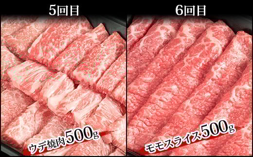 【定期便 6回】受賞歴多数!! 宮崎牛を6ヶ月で合計3.25キロ 宮崎牛づくし【送料無料 宮崎県 椎葉村 秘境 国産 宮崎県産 ブランド牛 牛肉 牛 和牛 肉 肩ロース ばら うで もも すき焼き 焼肉 焼き肉 BBQ アウトドア キャンプ 牛丼 うまい 美味しい おすすめ おかず 多用途 ギフト 贈り物 プレゼント 祝い パーティー 誕生日 記念日 お土産 敬老 お中元 お歳暮】【MT-38】