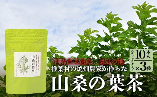 【世界農業遺産の産物】焼畑農家がつくった山桑の葉茶 スティックタイプ 10本入り×3袋【桑茶】