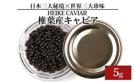 【訳あり】HEIKE CAVIAR  5ｇ 【宮崎県 椎葉村】【世界三大珍味×日本三大秘境】［宮崎 椎葉 国産 チョウザメ キャビア 5g 魚卵 卵 クリーミー お酒 魚介 珍味 加工品 冷凍 高級 高級食材 贅沢 世界三大珍味 パーティー おつまみ グルメ ギフト 記念日 誕生日 プレゼント お祝い 贈り物 贈答 贈答品 桐箱 希少 クリスマス ］【SZ-115】