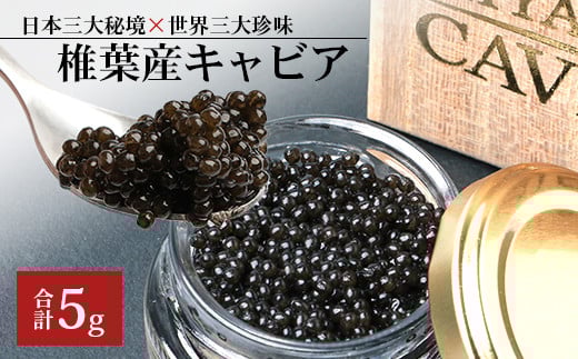 【桐箱入り】HEIKE CAVIAR  5ｇ 【世界三大珍味×日本三大秘境】［宮崎 椎葉 国産 ちょうざめ チョウザメ きゃびあ キャビア 5g 魚卵 卵 クリーミー お酒 魚介 珍味 加工品 冷凍 高級 贅沢 グルメ ディナー パーティー おつまみ ギフト 記念日 誕生日 プレゼント お祝い 贈り物 贈答 贈答品 桐箱 希少］【SZ-118】