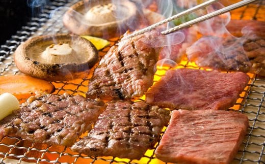 受賞歴多数!! 宮崎牛 ウデ焼肉「400g」＆宮崎県産黒毛和牛小間切れ「100g」【合計500g】[宮崎県 椎葉村 椎葉 日本三大秘境 秘境 牛肉 牛 和牛 肉 うし お肉 焼肉 ウデ肉 小間切れ 小間切れ肉 牛小間切れ うまい 美味しい おすすめ おかず 多用途 ギフト]【MT-61】