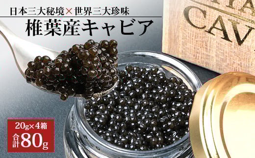 【桐箱入り】HEIKE CAVIAR 80ｇ 【世界三大珍味×日本三大秘境】［宮崎 椎葉 国産 ちょうざめ チョウザメ きゃびあ キャビア 80g 魚卵 卵 魚介 珍味 加工品 冷凍 高級 高級品 贅沢 お取り寄せグルメ ディナー パーティー おつまみ グルメ ギフト 記念日 誕生日 プレゼント お祝い 贈り物 贈答 桐箱 希少］【SZ-110】