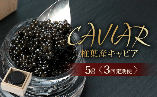 〈３回定期便〉【桐箱入り】 国産 キャビア 5g × 3回配送 計15g【世界三大珍味×日本三大秘境】［宮崎 椎葉 国産 ちょうざめ チョウザメ きゃびあ キャビア 魚卵 卵 定期便 定期 15g 3回配送 お酒 魚介 珍味 加工品 冷凍 高級 贅沢 グルメ ディナー パーティー おつまみ ギフト 記念日 誕生日 プレゼント お祝い 贈り物 贈答 贈答品 桐箱 希少］SZ-118_3teiki