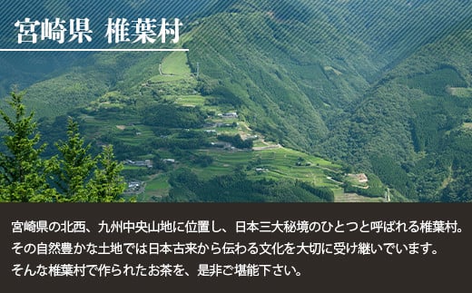 【世界農業遺産の産物】焼畑農家がつくった山桑の葉茶 スティックタイプ 10本入り×3袋【桑茶】