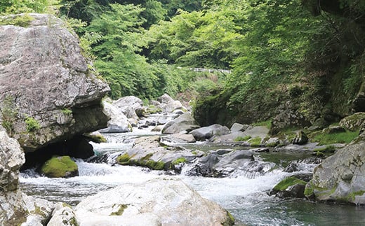 縲仙郁。悟女莉假シ壻サ、蜥8蟷エ迚医代先、手痩縺ァ縺ョ貂捺オ驥」繧翫r讌ス縺励縲鷹♀貍∬ィア蜿ッ險シ(蟷エ蛻ク) 閠ウ蟾晄ーエ邉サ縲宣」繧雁・ス縺榊ソ隕九代触K-1縲措騾∵侭辟。譁 螳ョ蟠守恁 螳ョ蟠 讀手痩譚 讀手痩 驕頑シ∝虻 驕頑シ∬ィア蜿ッ險シ 險ア蜿ッ險シ 驥」繧 驥」 豐ウ 蟾 驕頑シ 蛻ク 蟷エ蛻ク 閠ウ蟾晄ーエ邉サ 蟾晞ュ 繝、繝槭Γ 繝、繝槭Γ驥」繧 閠ウ蟾晄ーエ 菴馴ィ転