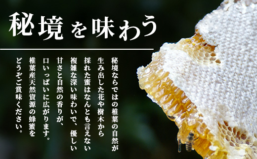 【秘境を味わう】【7営業日以内発送】椎葉の秘蜜 【250g×4本】国産天然はちみつ【数量限定】送料無料 宮崎県 椎葉村 秘境 蜂蜜 はちみつ ハチミツ みつばち ミツバチ 伝統的 養蜂 国産 天然 百花蜜 巣箱 数量限定 季節 希少 250g 1000g 1kg【MS-07】