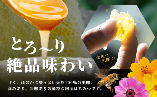 【無添加 非加熱】標高800m たっちゃんのこだわり蜂蜜【170g×3本】(送料無料 宮崎県 椎葉村 秘境 蜂蜜 はちみつ ハチミツ みつばち ミツバチ 伝統的 養蜂 国産 天然 百花蜜 巣箱 数量限定 季節 希少 170g 340g 510g 防災 備蓄) TN-06