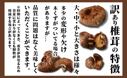 【訳あり】【徳用】秘境・椎葉村産 原木 乾しいたけ 900g（300g×3袋）【森林率96％の村の宝】［送料無料 宮崎県産 国産 原木椎茸 椎茸 シイタケ しいたけ 乾しいたけ 干し椎茸 産地直送 きのこ グアニル酸 ビタミンD おすすめ 栄養 美容 食物繊維 煮物 みそ汁 汁もの ダシ 出汁 鍋 特産品 ご当地 お取り寄せ 大容量 調味料 ギフト 贈物 プレゼント お中元 お歳暮］【JA-34】